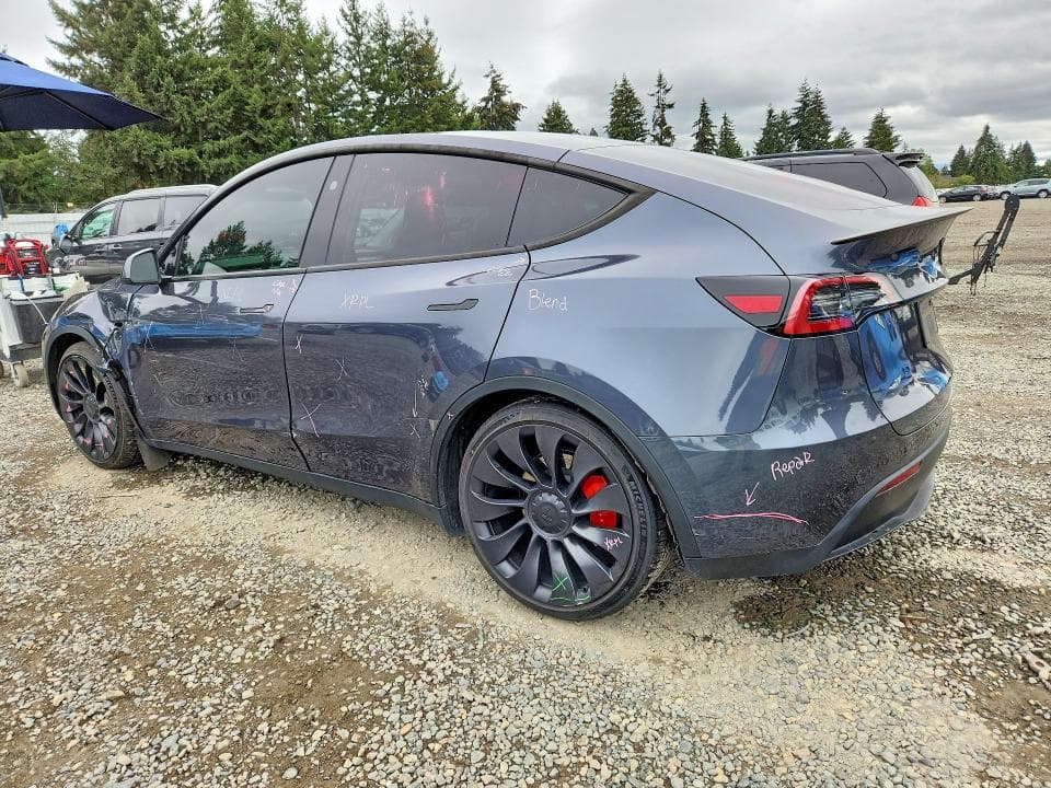 2023 TESLA MODEL  Y 2
