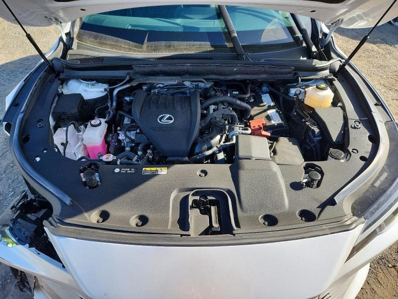 2024 LEXUS RX 350 BASE 12