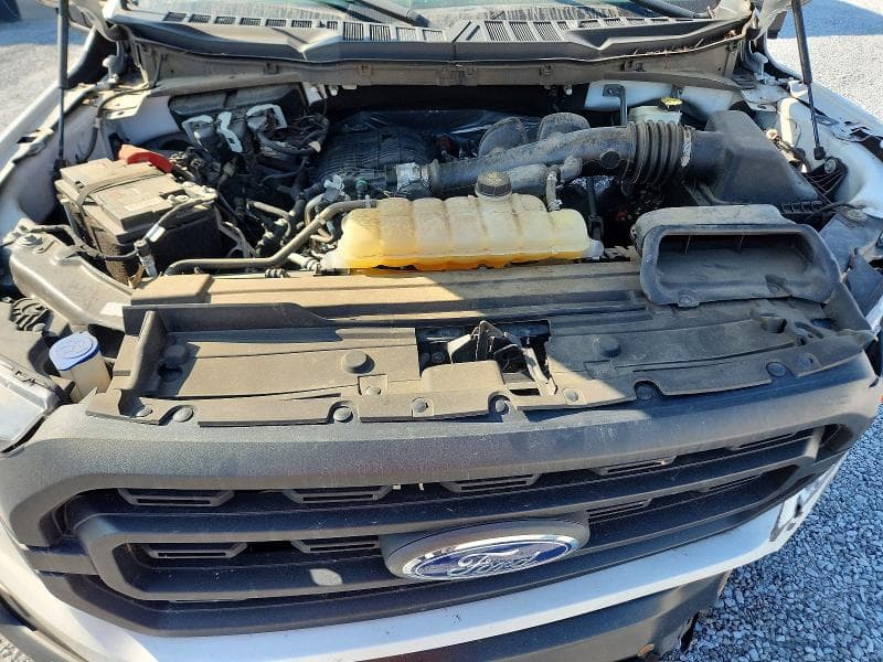 2023 FORD F150 11
