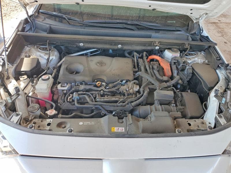 2024 TOYOTA RAV4 XLE PREMIUM 12
