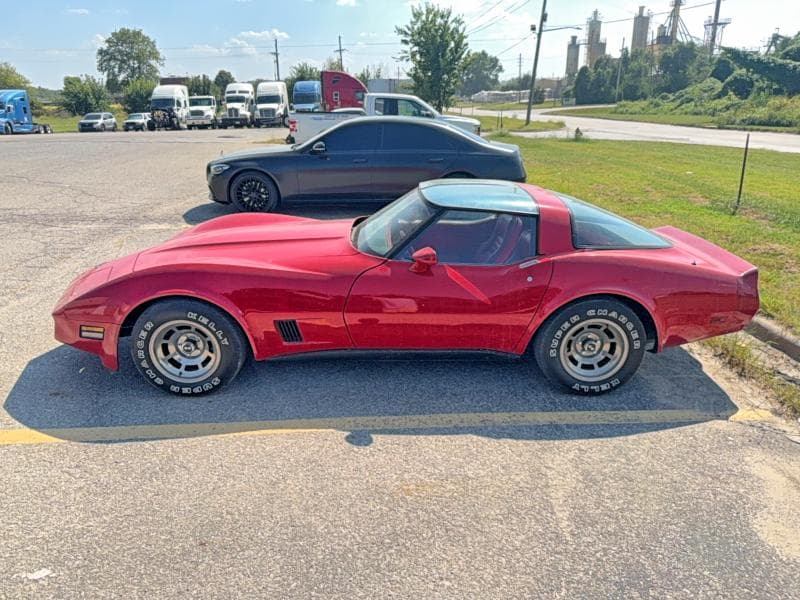 1981 CHEVROLET CORVETTE 12