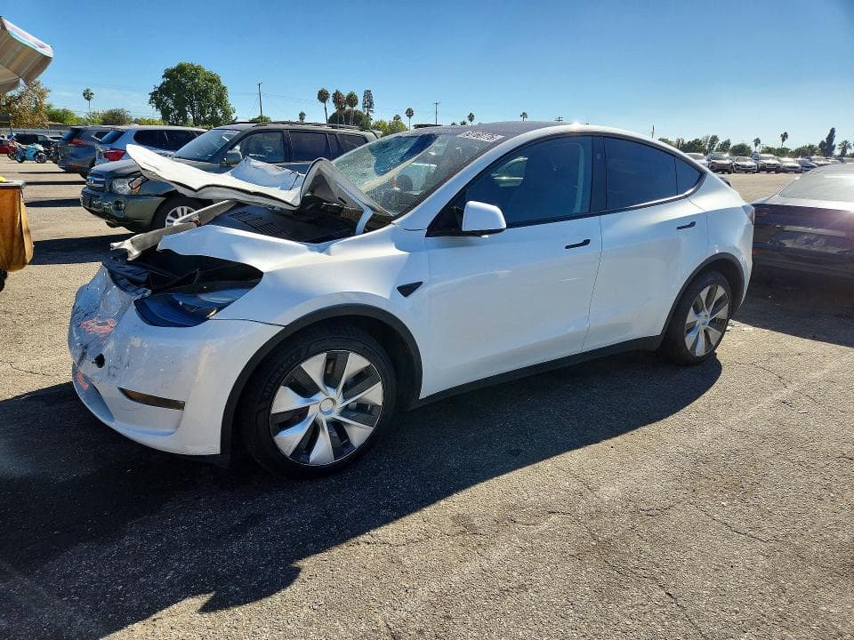 2023 TESLA MODEL Y - 1