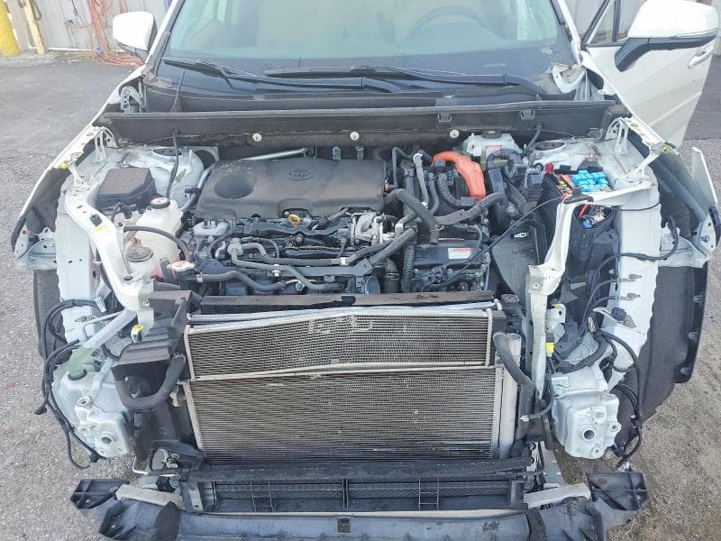 2019 TOYOTA RAV4 LIMITED 12