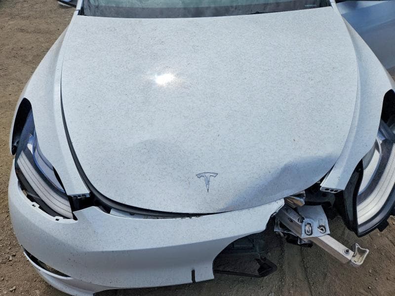 2023 TESLA MODEL Y 11