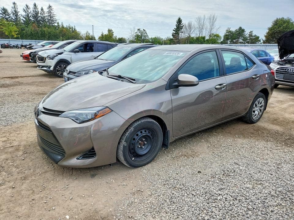 2019 TOYOTA COROLLA L