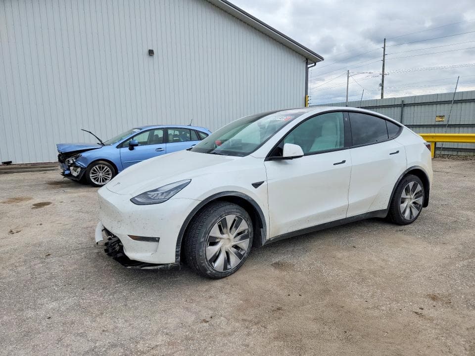 2021 TESLA MODEL Y - 1