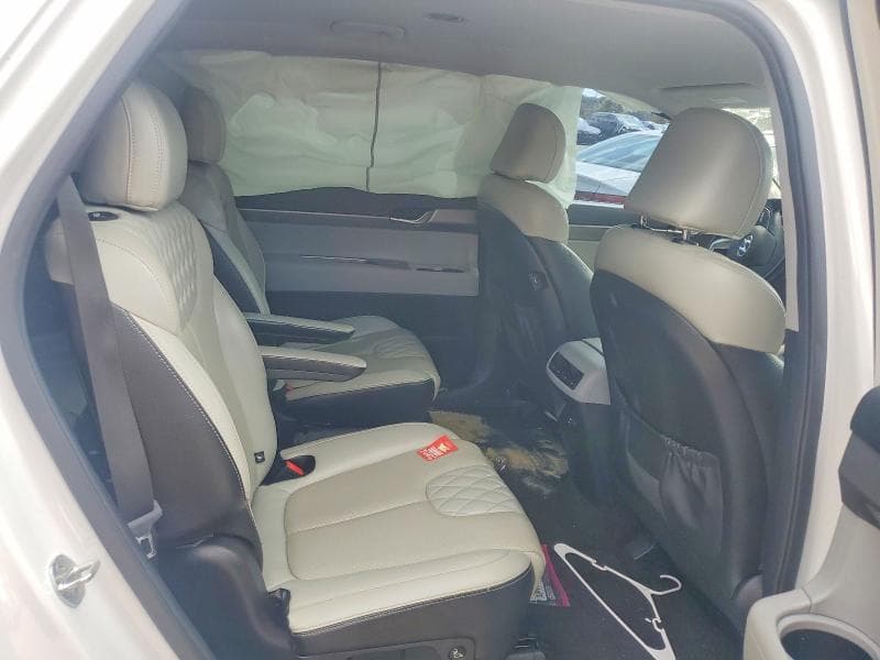 2020 HYUNDAI PALISADE SEL 10