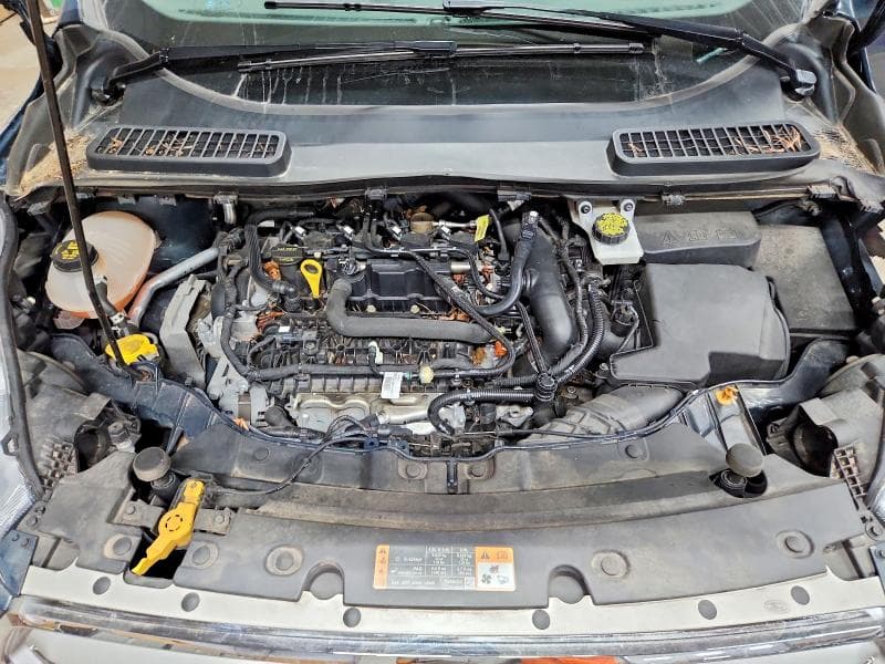 2019 FORD ESCAPE SE 12