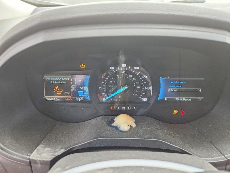 2022 FORD EDGE SEL 9