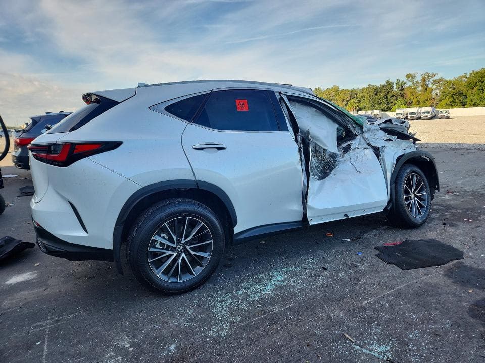 2024 LEXUS NX 250 PREMIUM 3
