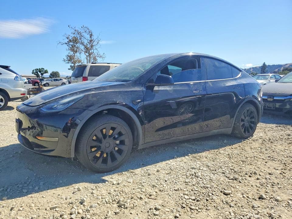 2020 TESLA MODEL Y - 1