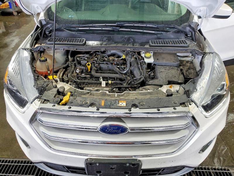 2019 FORD ESCAPE SEL 11