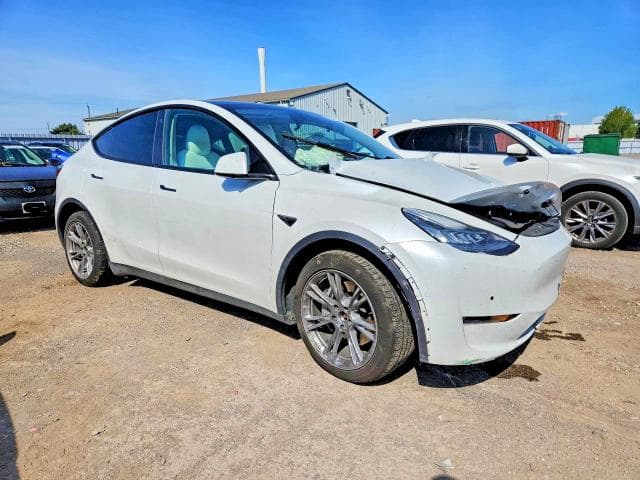 2022 TESLA MODEL Y 4