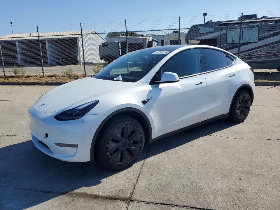 2025 TESLA MODEL Y - 1