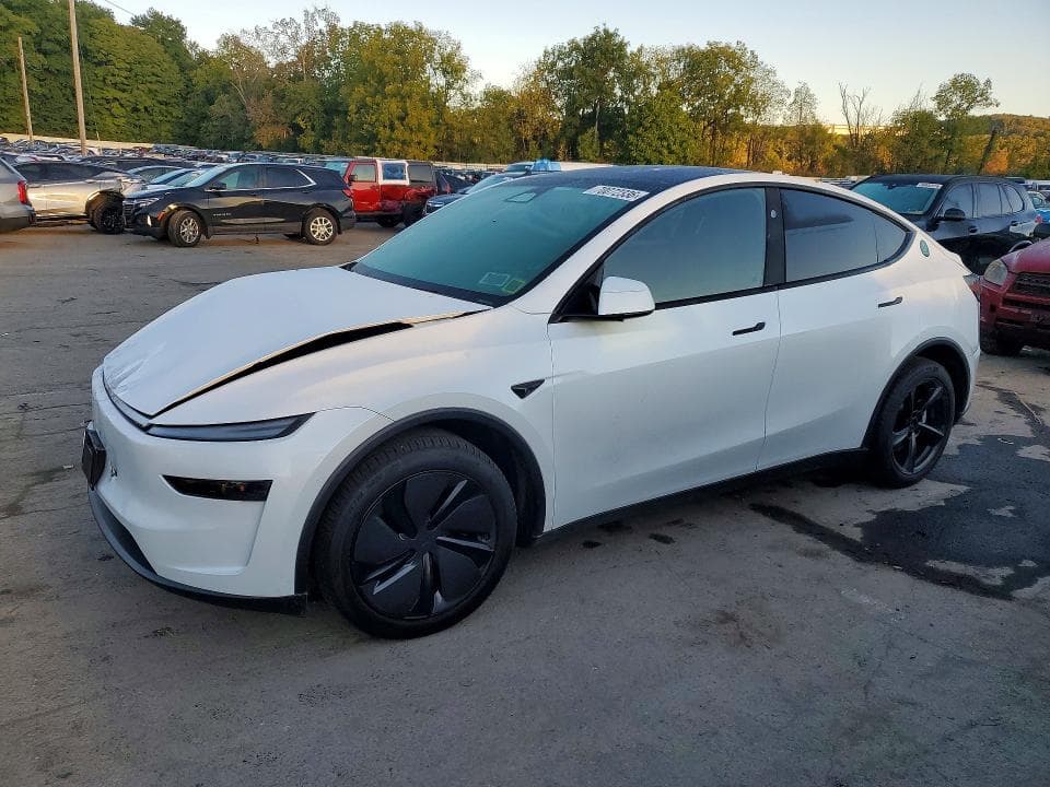 2026 TESLA MODEL Y - 1