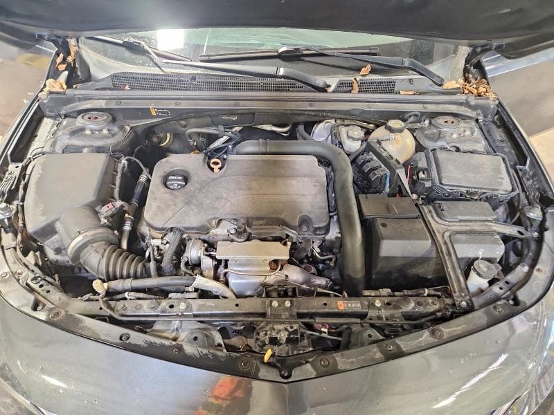 2017 CHEVROLET MALIBU LT 11