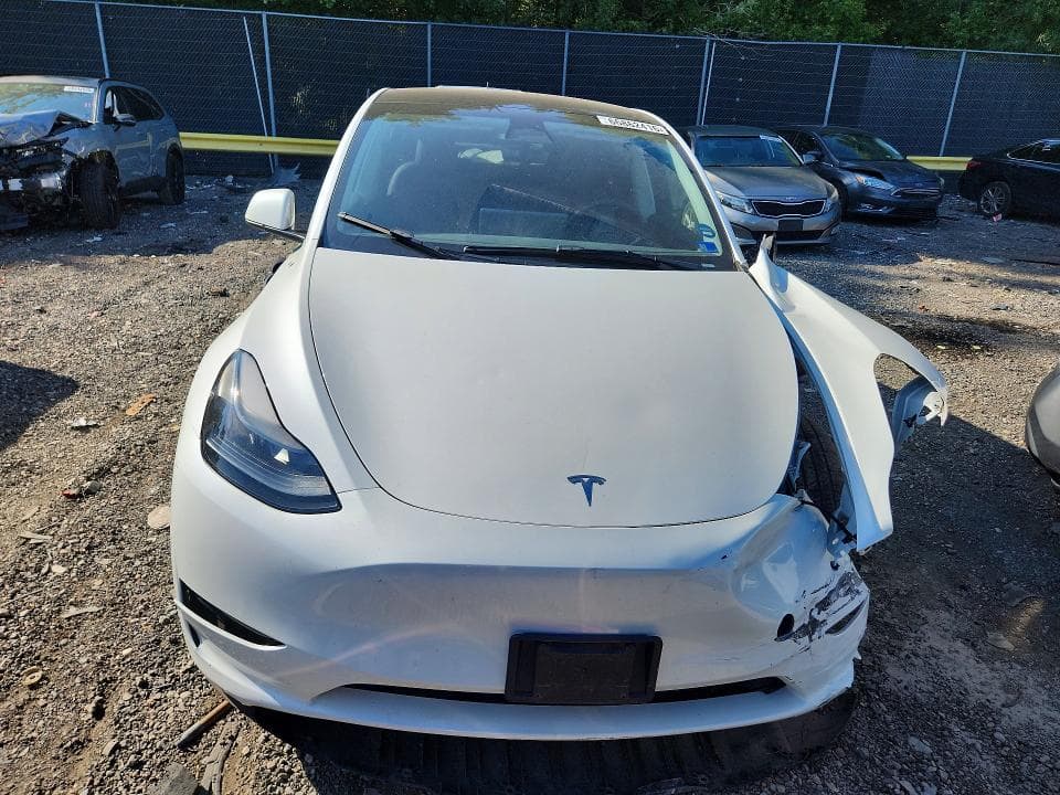 2023 TESLA MODEL Y 5