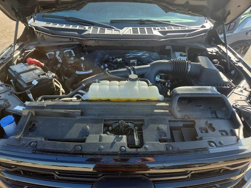 2025 FORD F150 XLT 11