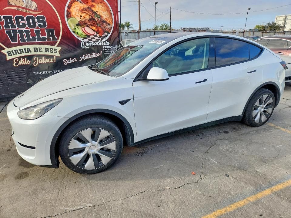 2024 TESLA MODEL Y - 1