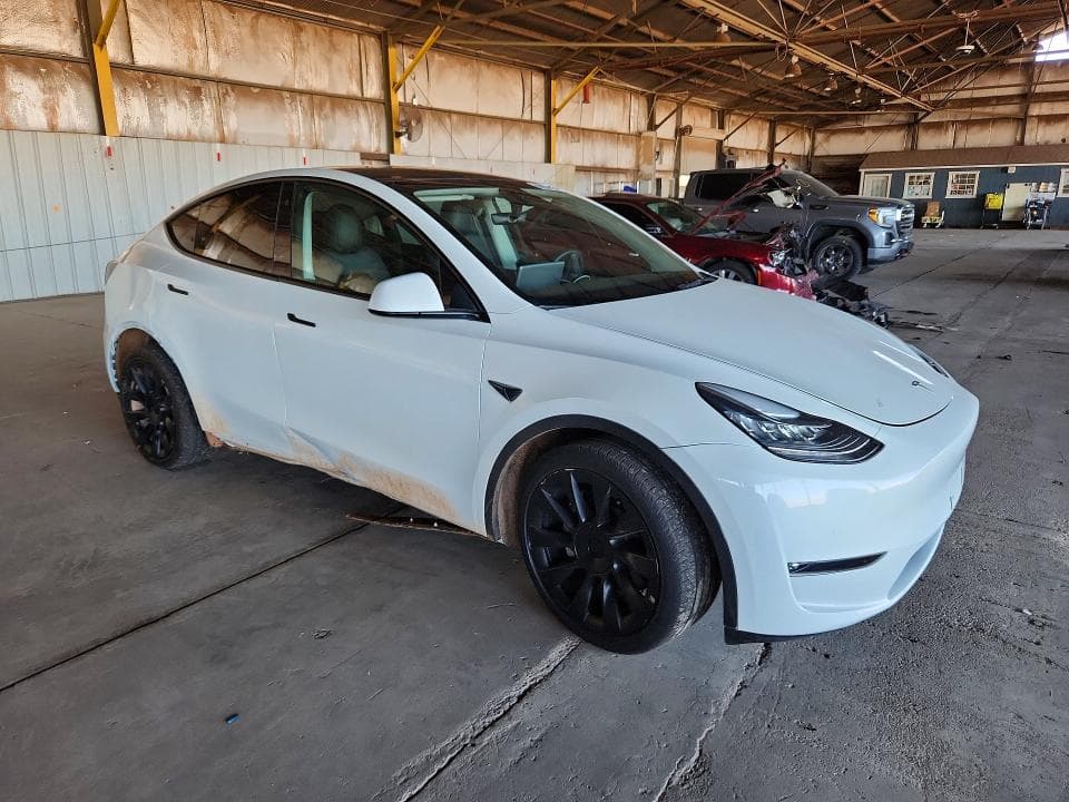 2021 TESLA MODEL Y 4