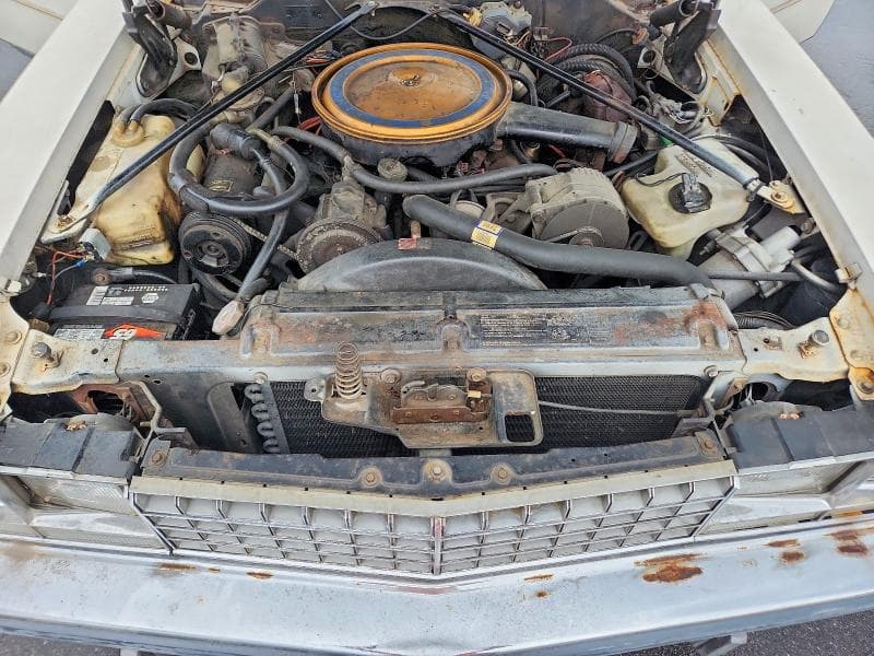 1976 CADILLAC SEVILLE 11