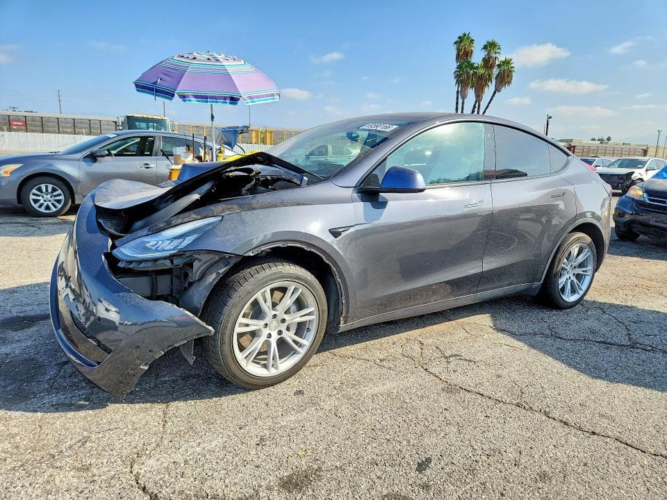 2020 TESLA MODEL Y - 1