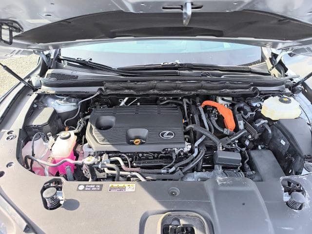 2024 LEXUS RX 350H PREMIUM+ 12