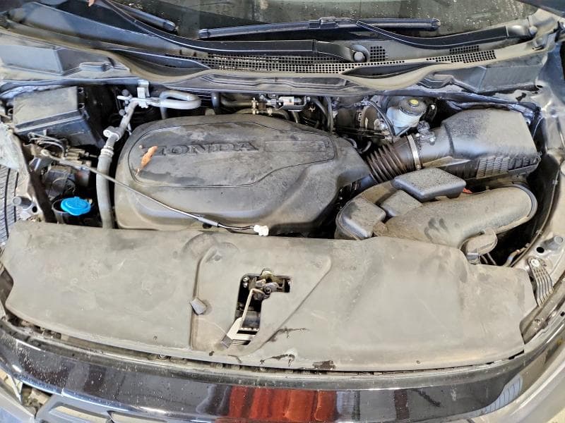 2025 HONDA ODYSSEY EXL 12