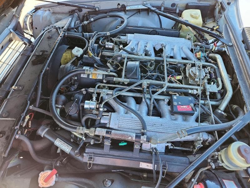 1985 JAGUAR XJS 11