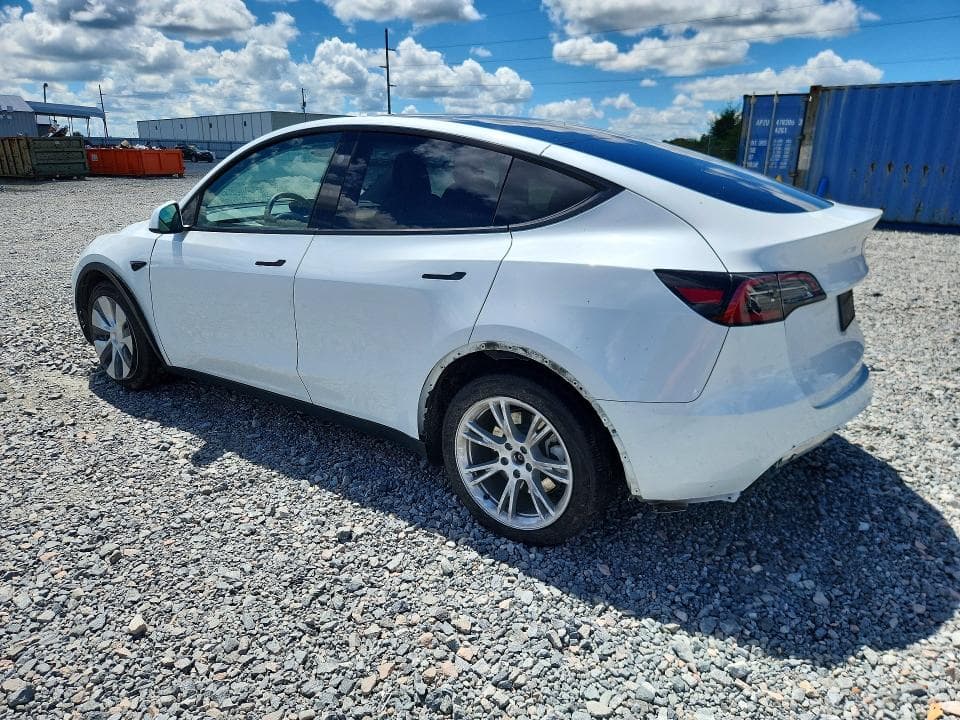 2024 TESLA MODEL Y 2