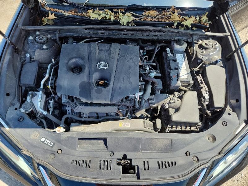 2021 LEXUS ES 250 BASE 11