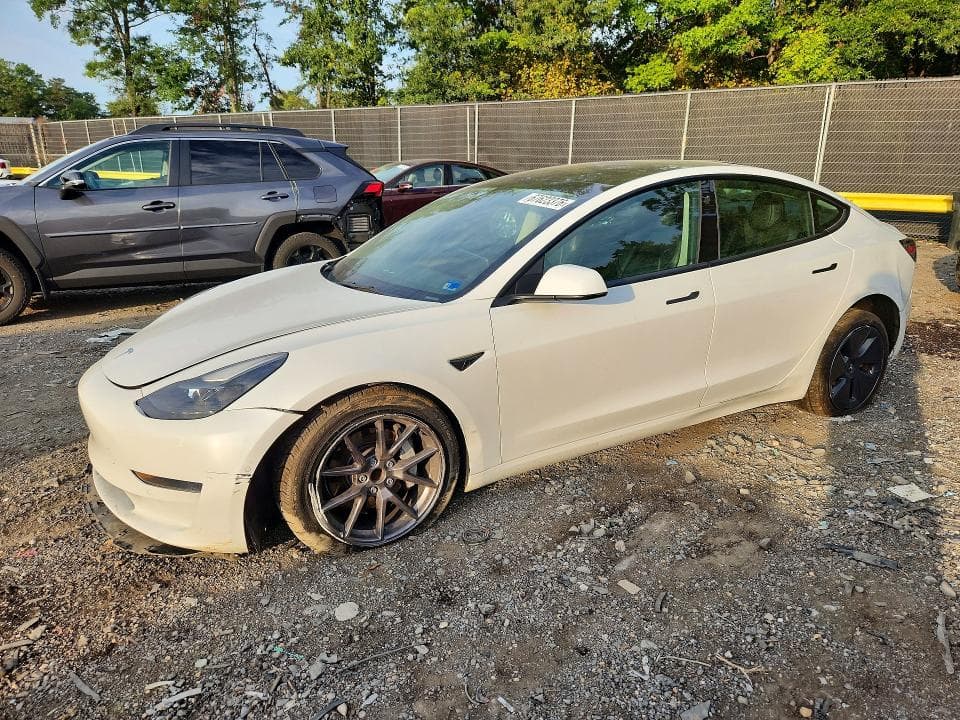 2021 TESLA MODEL 3 - 1