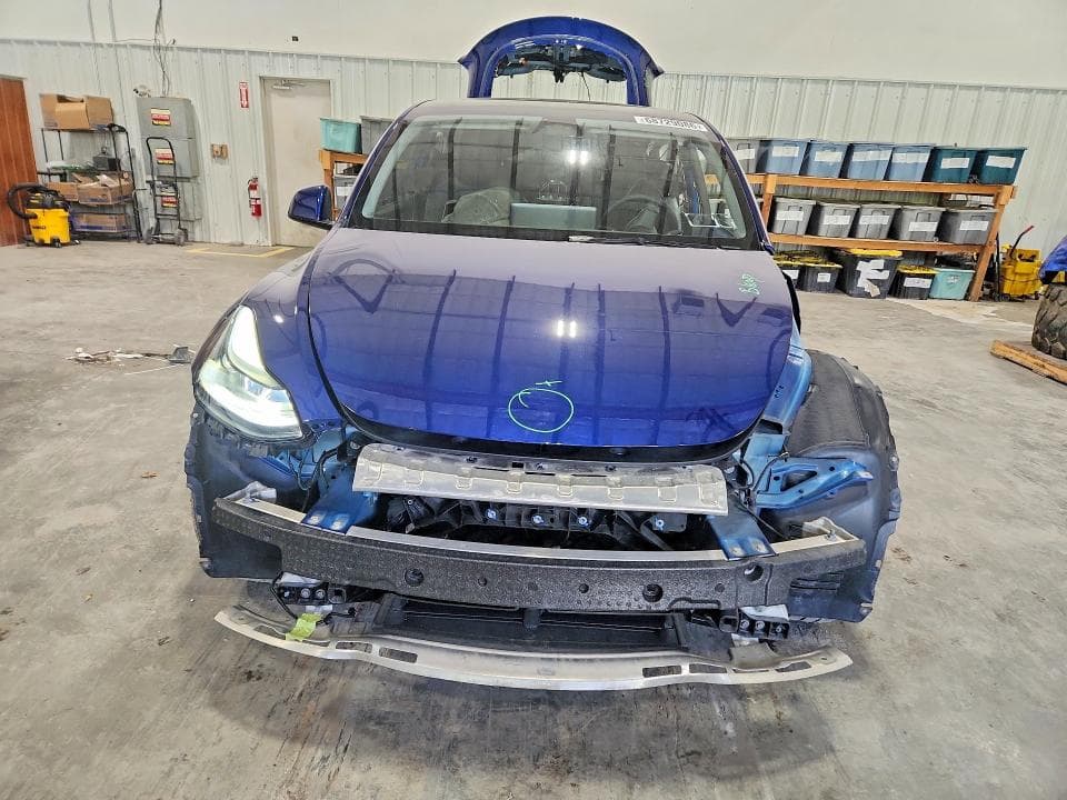 2025 TESLA MODEL Y 5