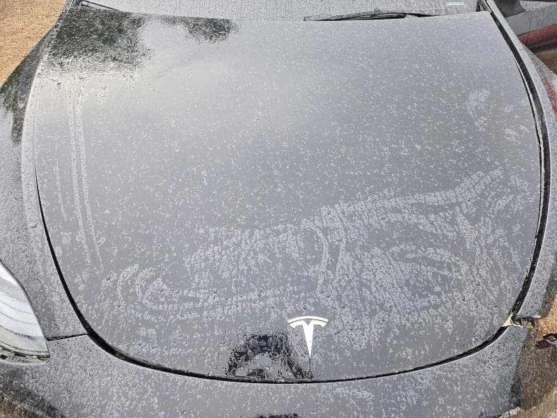2025 TESLA MODEL Y 11