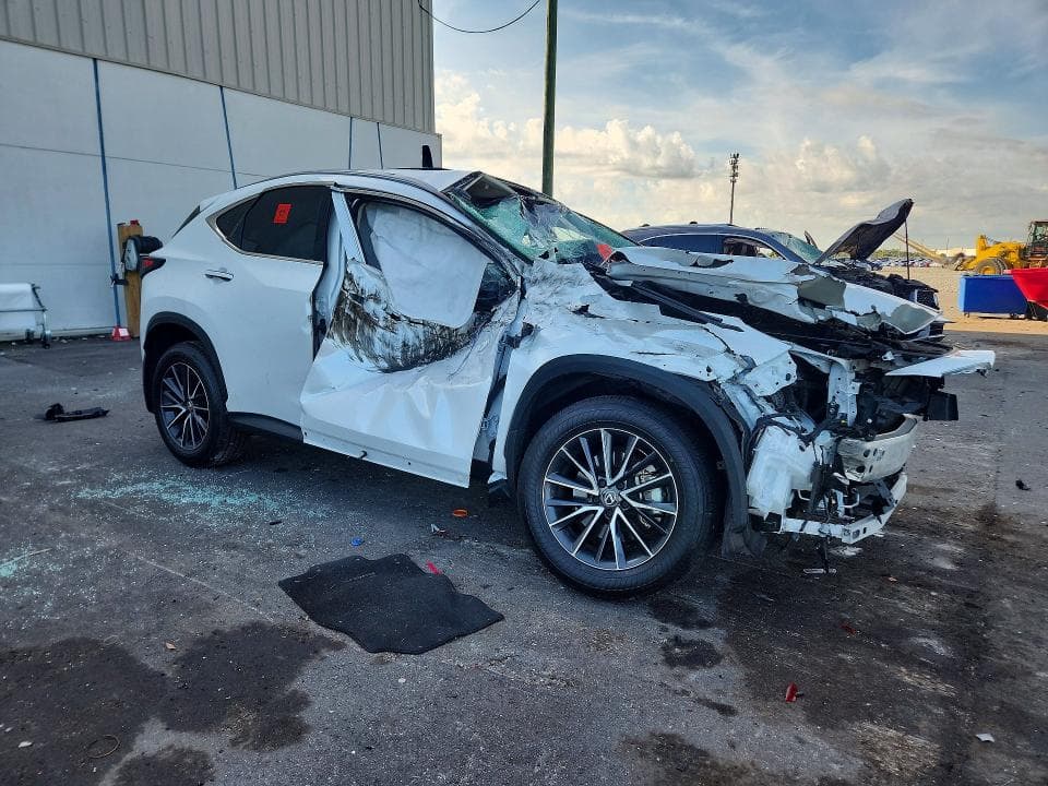 2024 LEXUS NX 250 PREMIUM 4