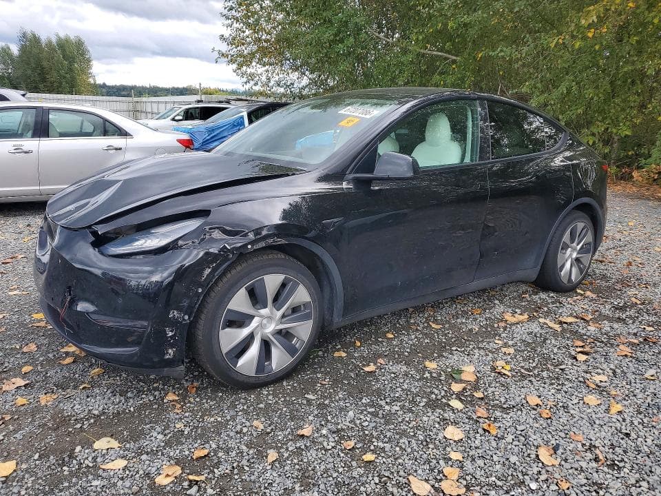 2021 TESLA MODEL Y - 1
