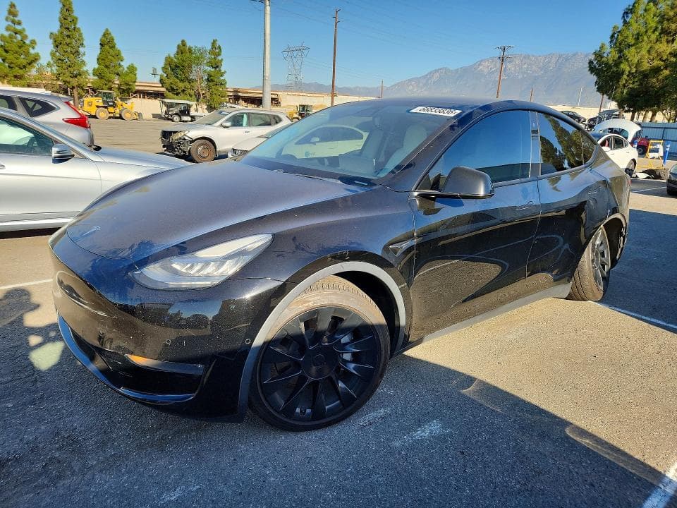 2020 TESLA MODEL Y - 1