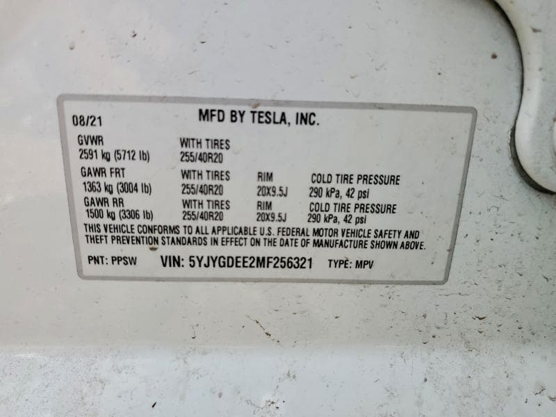 2021 TESLA MODEL Y 12