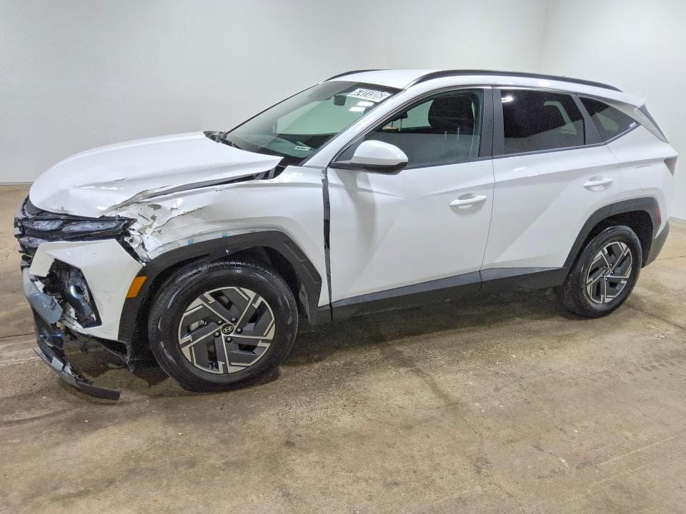 2025 HYUNDAI TUCSON BLUE - 1