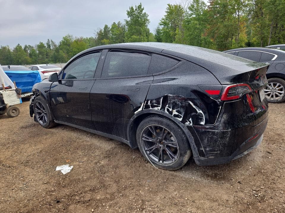 2025 TESLA MODEL Y 2