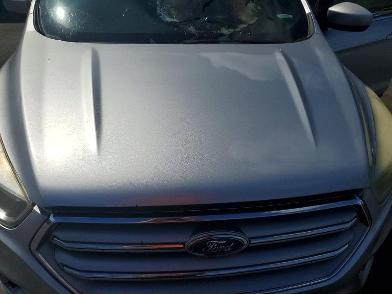 2017 FORD ESCAPE SE 11