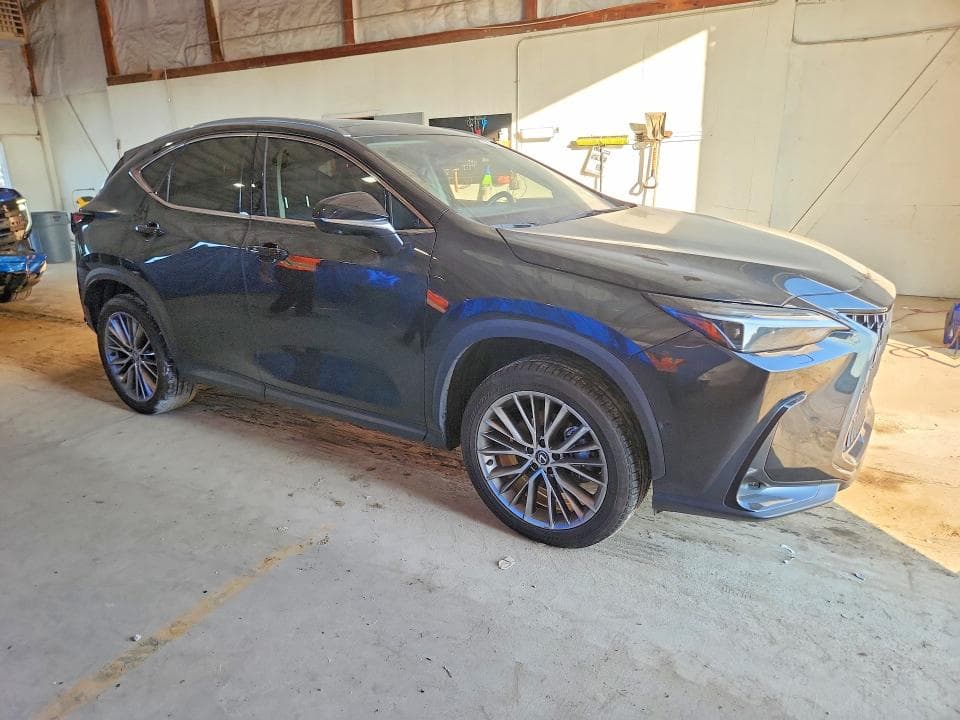 2024 LEXUS NX 350H LUXURY 4