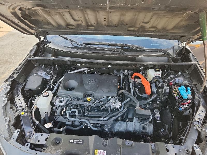 2025 TOYOTA RAV4 HYBRID XLE 12