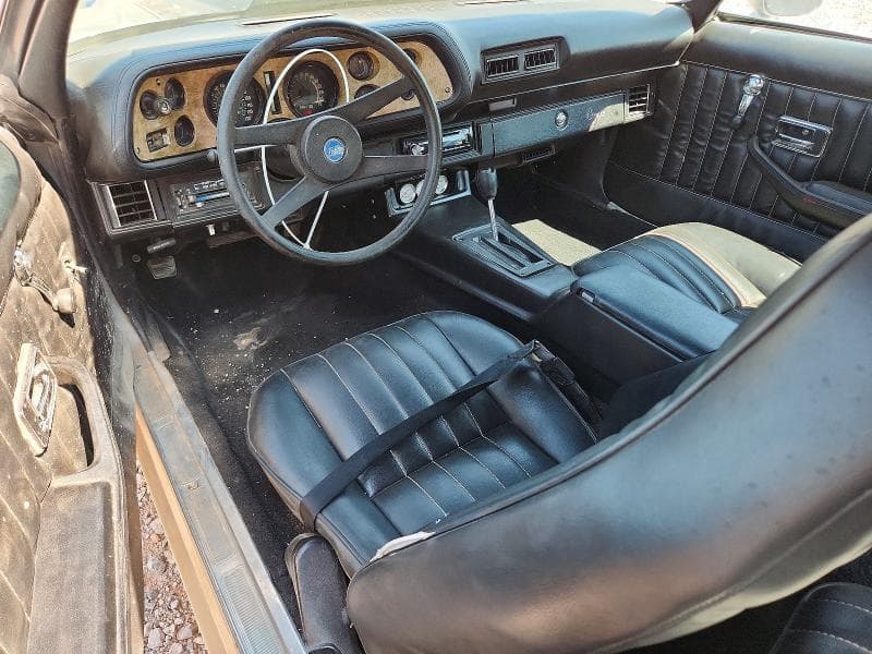 1977 CHEVROLET CAMARO 8
