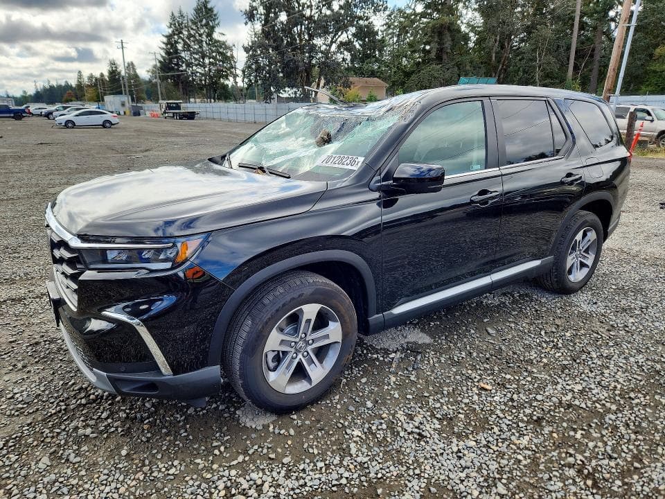 2025 HONDA PILOT EXL - 1