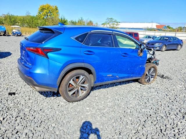 2019 LEXUS NX 300 BASE 3