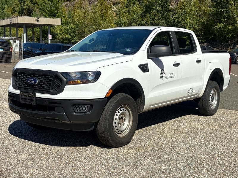 2019 FORD RANGER XL 2