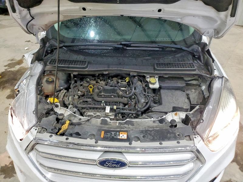 2019 FORD ESCAPE SE 12