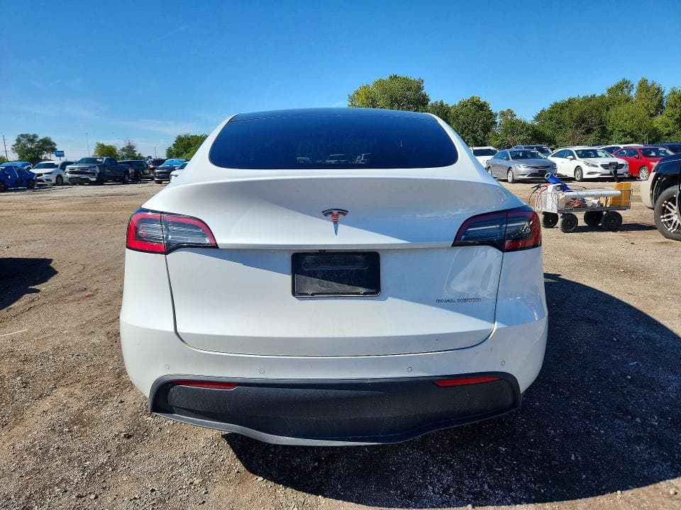 2021 TESLA MODEL Y 6