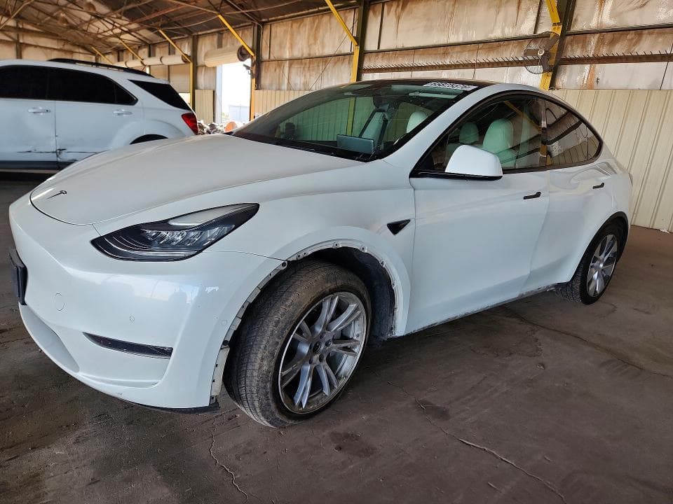 2020 TESLA MODEL Y - 1